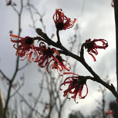 Kleine Auszeit Mit Aussicht Toenisheide * Velbert