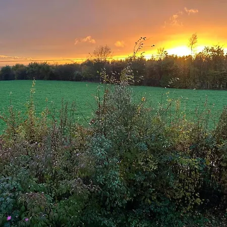 Kleine Auszeit Mit Aussicht Toenisheide Habitación en casa particular Velbert