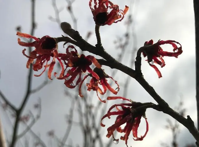 Kleine Auszeit Mit Aussicht Toenisheide * 费尔贝特